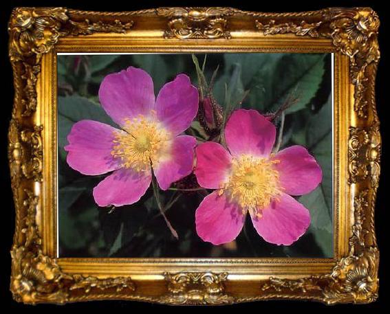 framed  unknow artist Still life floral, all kinds of reality flowers oil painting  194, ta009-2